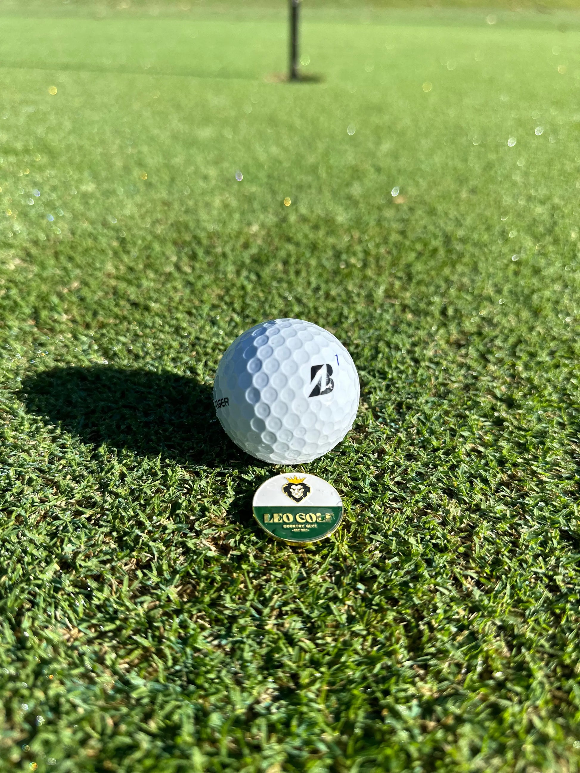 Golden Stainless Steel Ball Marker With Magnetic Hat Clip Leo Golf Co.