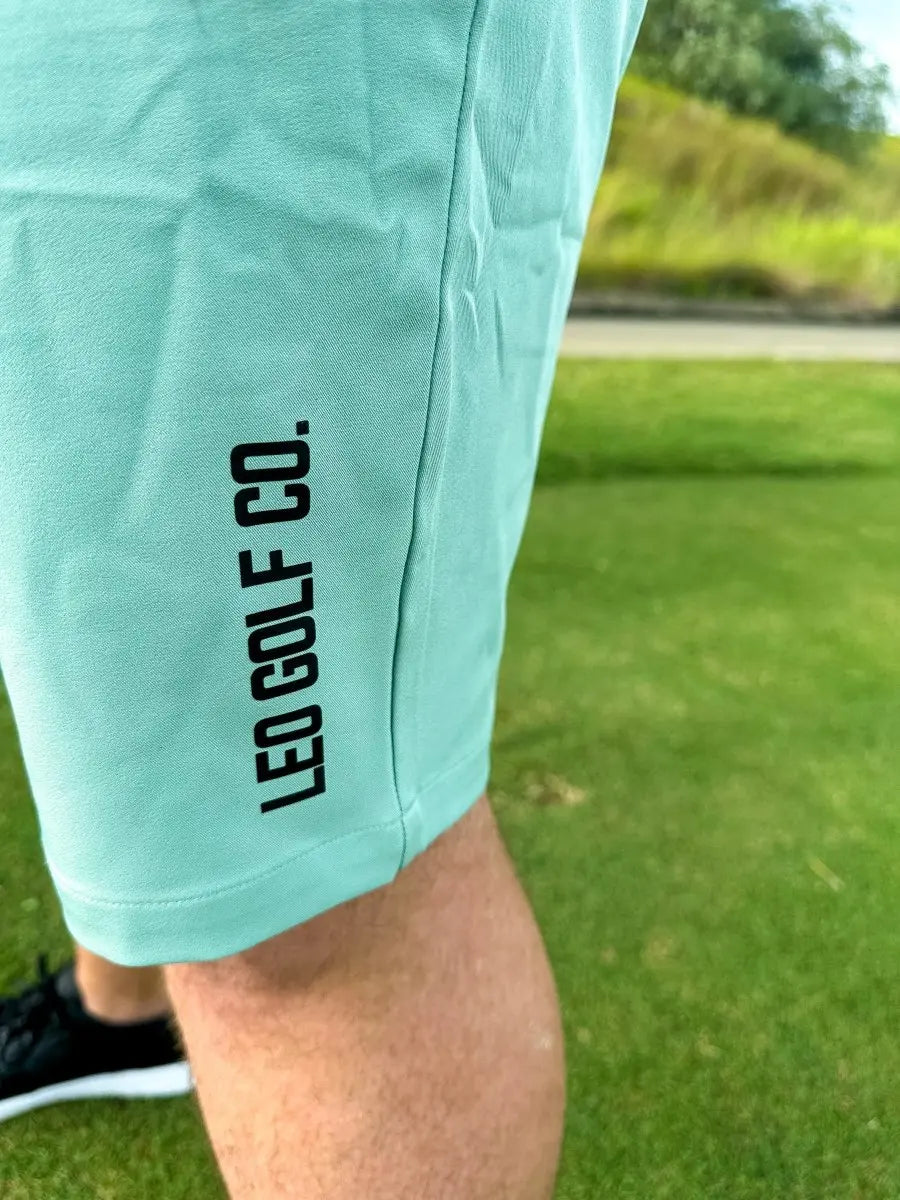 Golf on sale shorts stretch